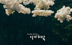 springboot整合redis（快速）