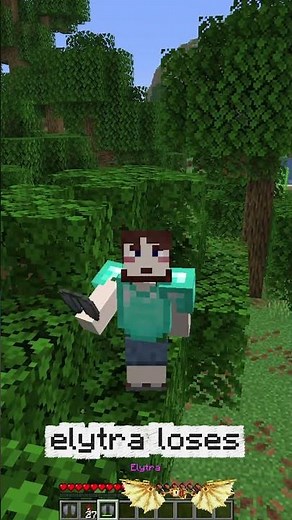 Minecraft Hidden Elytra Swap Trick