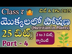 Nutrition in Plants Class 7 | Full Chapter Explanation