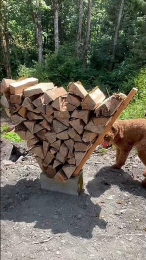 Cinder blocks bench and firewood holder idea.