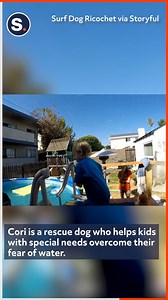 60K views · 1.1K reactions | This little boy overcame his fear of swimming with help of an adorable rescue dog! | storyful | Facebook