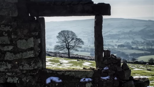 Why 40mm Might Be the Perfect Everyday Focal Length