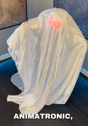 The Underrated Spirit Halloween Hovering Ghost Animatronic