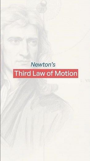 A Levels Physics - The Newton's Third Law of Motion