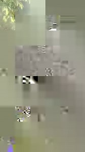 ... la Sagra del Lambrusco Grasparossa di Castelvetro di Modena continua sabato 21 e domenica 22 settembre. | Comune di Castelvetro di Modena