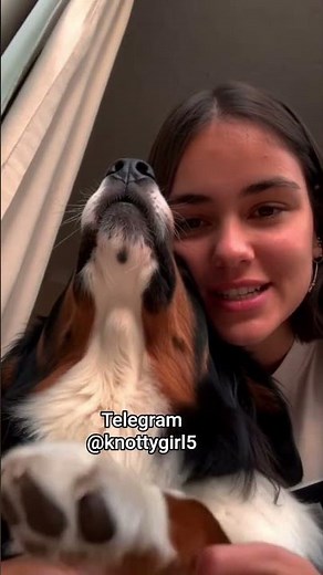 content available #doggielife #doglove #dogcontent #doglife #dogplay #dogmom #zoo #k9 #knotting #fyp