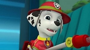 Watch Paw Patrol Season 6 Episode 2 - Parroting Pups/Merpups Save the Turbots