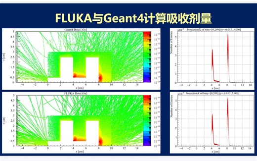 FLUKA与GEANT4计算吸收剂量