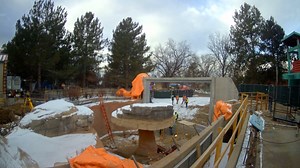 Construction on our sea lion habitat is moving full speed ahead, and we’re diving into some major milestones! 🦭 Check out this timelapse of the installation of our massive acrylic viewing wall— one step closer to an unforgettable experience returning this summer—bigger and better than ever! Want to be part of this exciting transformation? 🌊 Support our Into the Great Wild Open campaign and help create WILD new experiences for animals and guests alike. Learn more and donate today: https://denve