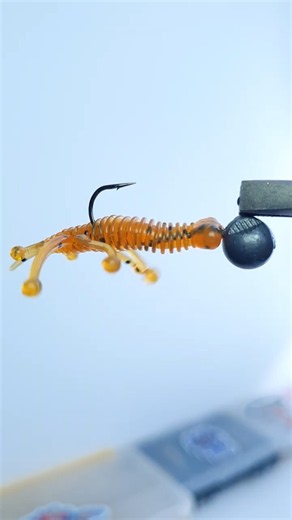 How to rig a Motor Oil craw on a jig head for Pike, Zander & Perch! 🦞