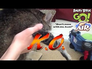 SMB1985 Reacts to Air | Angry Birds Go Plush Episode 3 | LuigiFan00001