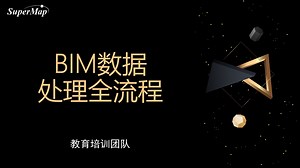 BIM数据处理全流程