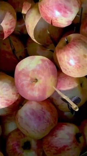 Apple & Arrow: The Infinite Loop 🔥One arrow #infiniteloop #mindblowing #ai #trending #shorts #viral