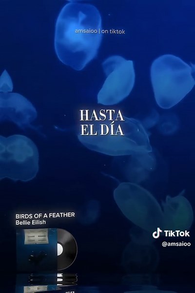 Birds of a Feather by Billie Eilish - Lyrics, Traduction, and Español