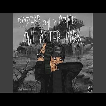 Spiders only come out after dark