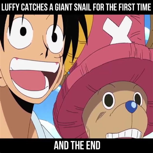Luffy Catches A Giant Snail #anime #luffy #strawhats #onepiece #funny
