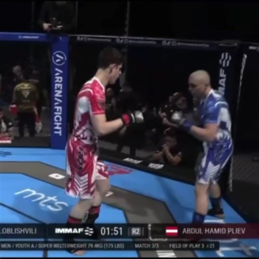 Europe Championship Highlights and Overview
