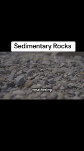 172K views · 4.1K reactions | Dive into the fascinating world of...