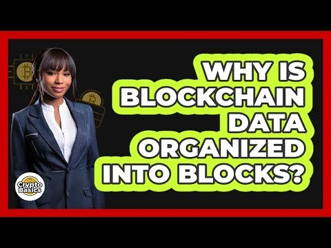 Why Is Blockchain Data Organized Into Blocks?