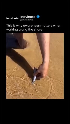 Inavinate | In the early 1960s, NASA did invest heavily in ocean research through programs like SEALAB, but the idea that they quit the deep sea... | Instagram