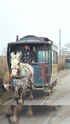 475K views · 14K reactions | Restored footage from 1921 showing two...