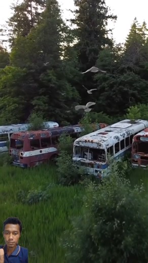 Exploring the Eerie Bus Graveyard Where Giants of the Road Come to Rest #BeautyInDecay #Explore