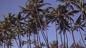 Magnum.P.I.1980-1988.S01E17.BDRip.x264.HuN-MGM