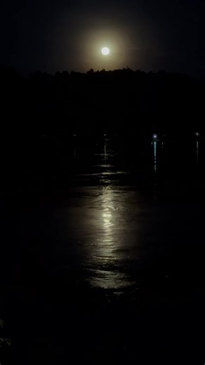 Natural Sukau Bilit Resort | Good night everyone. Looking forward to seeing you tomorrow morning for the wildlife river cruise 🚢🐦‍⬛🐘 | Instagram