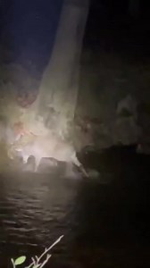 When you don’t see the big ones no more. #KANSASFINEST | Midwest Whitetail Adventures