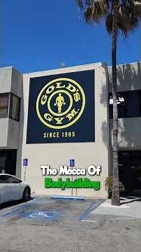 Gold's Gym Tour 💪 | Inside the Mecca of Bodybuilding | Is It Worth It? #feedshorts