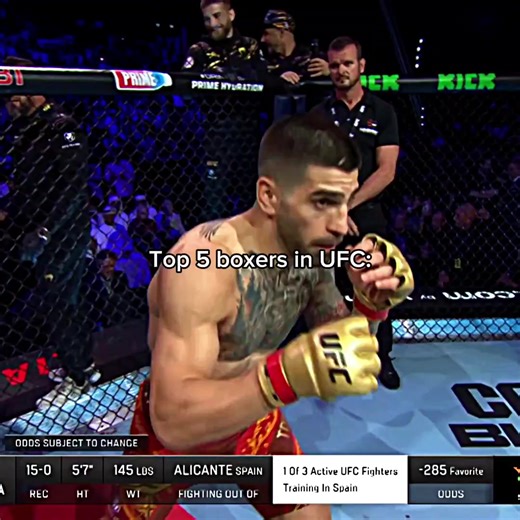 Top UFC Boxers Highlight Reel