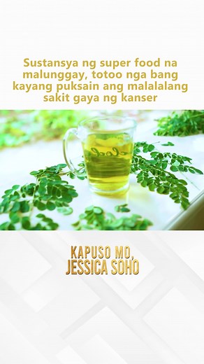 Sustansya ng super food na malunggay, totoo nga bang kayang puksain ang malalalang sakit gaya ng… kanser?! #KMJS | Kapuso Mo, Jessica Soho