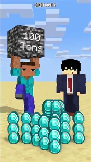 minecraft cheaper portal #minecraft