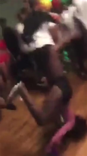 I really miss these days🤦🏾‍♀️ #dancehallmusic #dancehall #caribeantiktok #jamaicantiktok #brooklyn