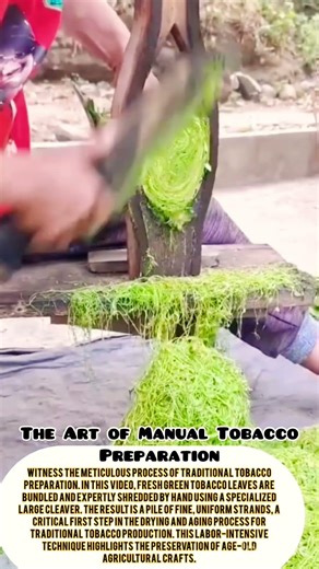 The Art of Manual Tobacco Preparation#diy #diyprojects #tobacco