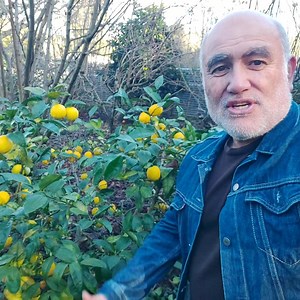 5.8K views · 325 reactions | Lemons are versatile  . If you are...