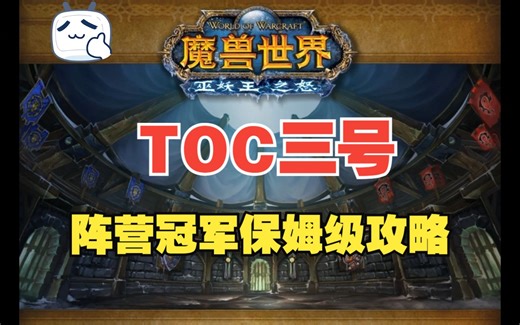 TOC三号阵营冠军保姆级攻略