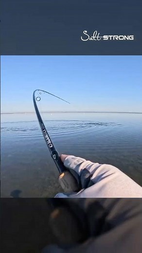 The Best Gear for Sight Casting Redfish