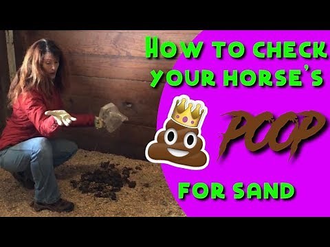 How to Check Your Horse's Poop for Sand