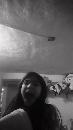 17 de noviembre de 2025