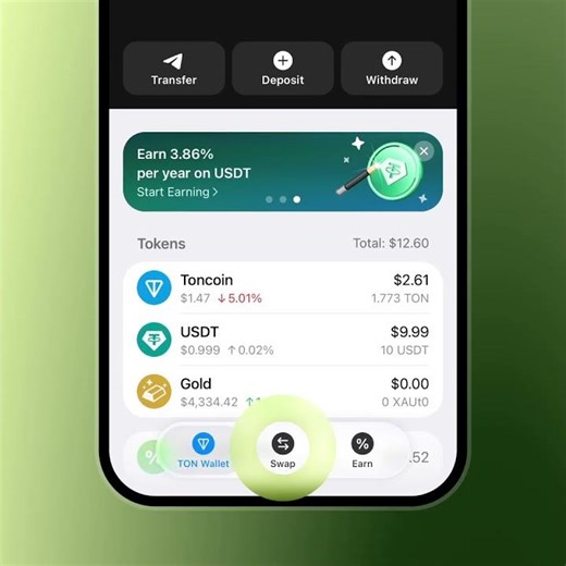 How to Use the TON Wallet