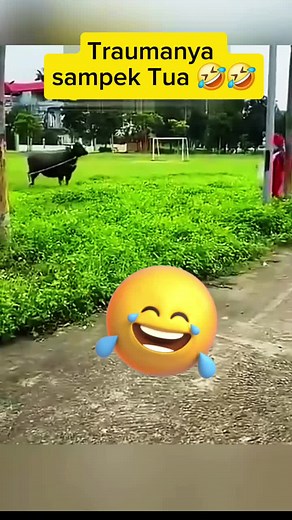 Black Cow Runs Towards Soccer Goal in Outdoor Park