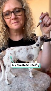 My needle-felted puppy looks so realistic 🤩👏 | Craft Factory