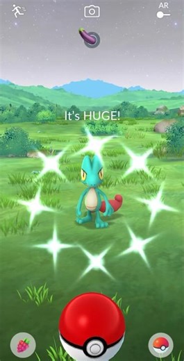 Pokémon GO - Jumbo Shiny Treecko #pokemon #pokemongo #pokémon #pokémongo #lizard #treecko #ytp