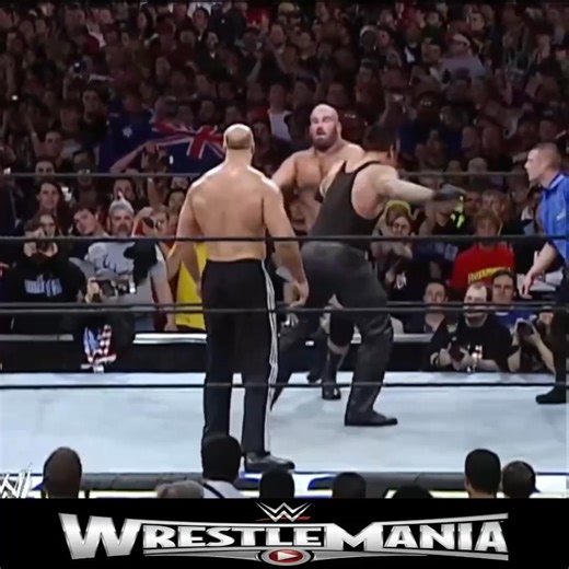 The Undertaker vs. Big Show & A-Train – Handicap Match WrestleMania XIX | Yvelin
