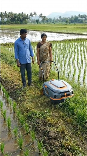 How Modern Machines Are Helping Farmers in Rice Cultivation