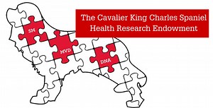 Cavalier King Charles Spaniels Research