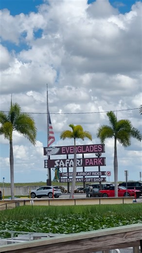 Florida, Everglades Safari Park🇺🇸#youtubeshorts