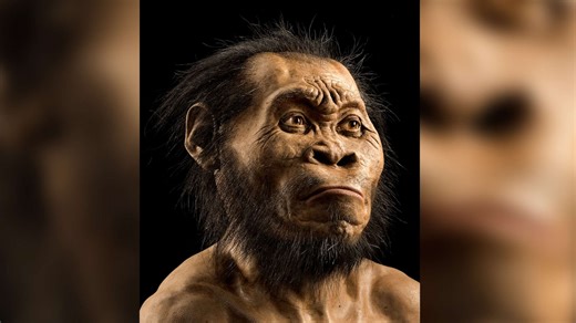 Discovering Homo naledi’s meaningful burials