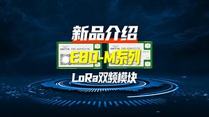 LoRa双频无线模块，Sub-GHz+2.4GHz，适用性强！LR1121芯片